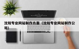 陵水沈阳专业网站制作方案（沈阳专业网站制作公司）